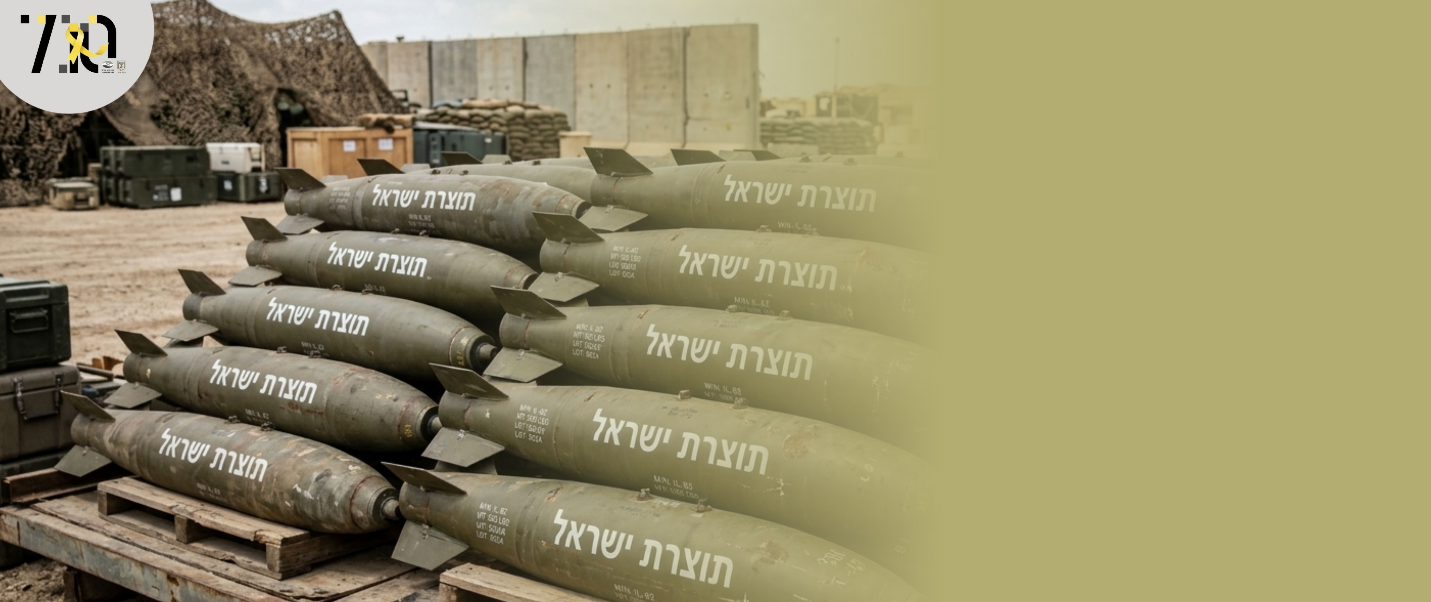 להגן בכוחות עצמנו